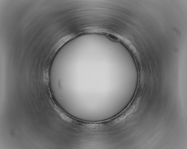 X0000112100897200909011122