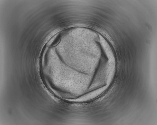 X0000112100898200909011122