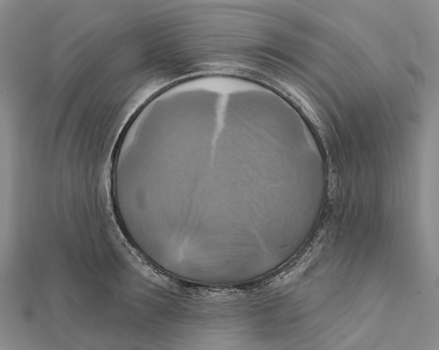 X0000112100899200909011122
