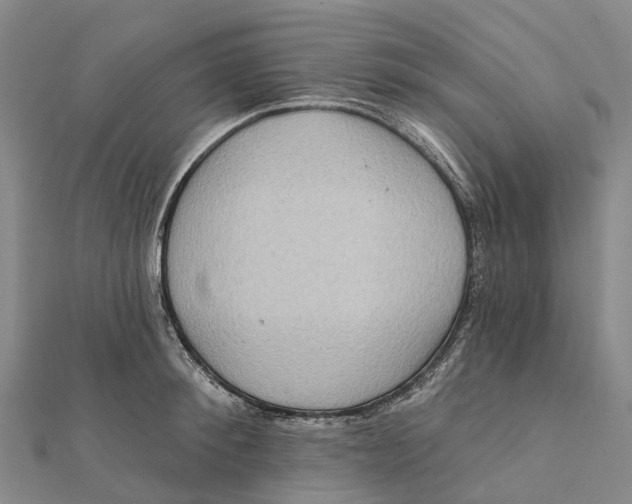 X0000112100900200909011122