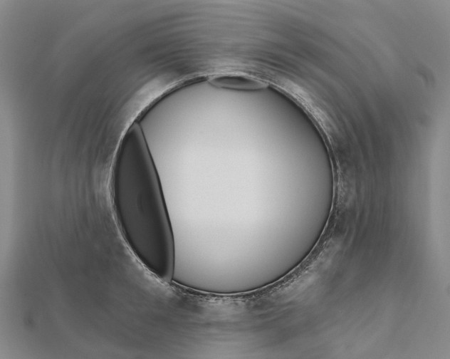 X0000112100901200909011122