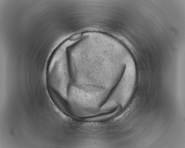X0000112100902200909011122
