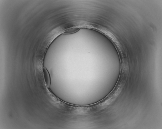 X0000112100905200909011122