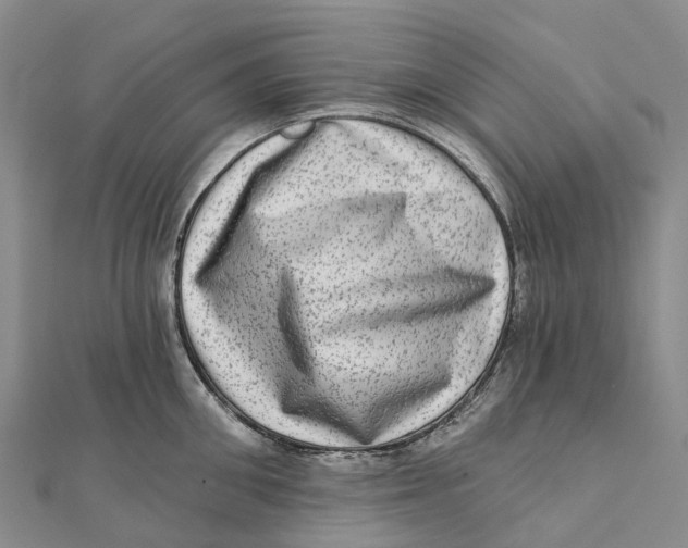X0000112100906200909011122