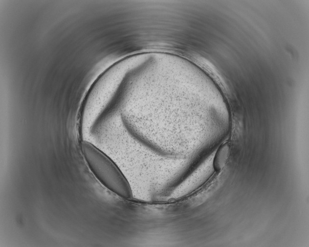 X0000112100908200909011122