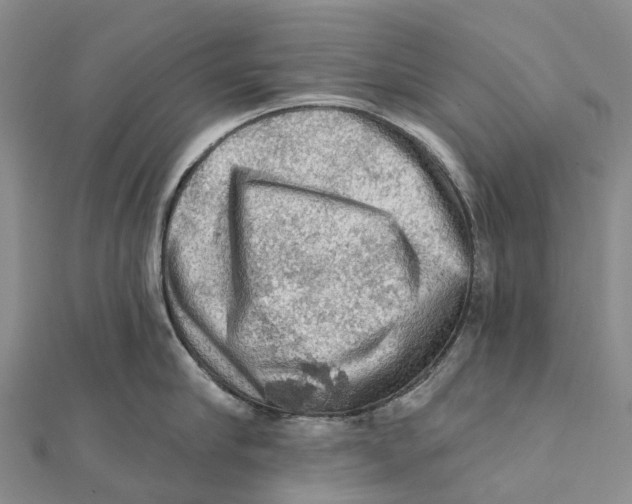 X0000112100910200909011122