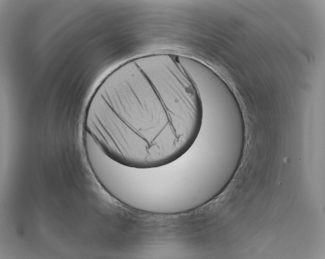 X0000112100912200909011122