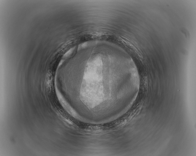X0000112100914200909011121