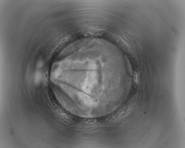 X0000112100915200909011121