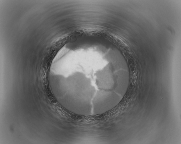 X0000112100917200909011121