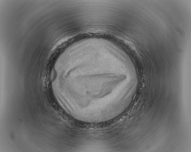 X0000112100920200909011121