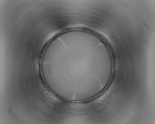 X0000112100921200909011121