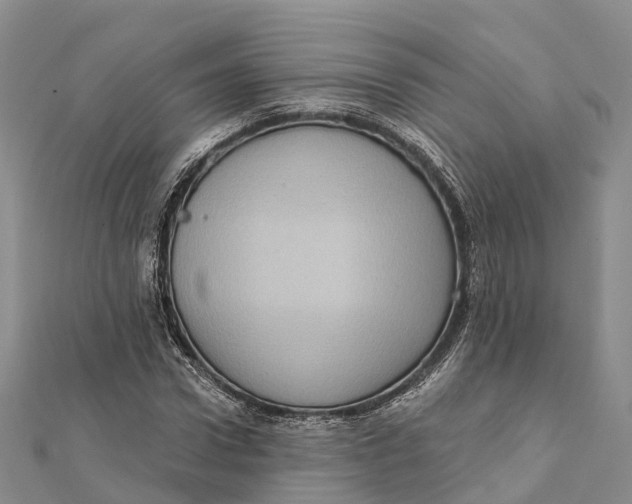 X0000112100922200909011121