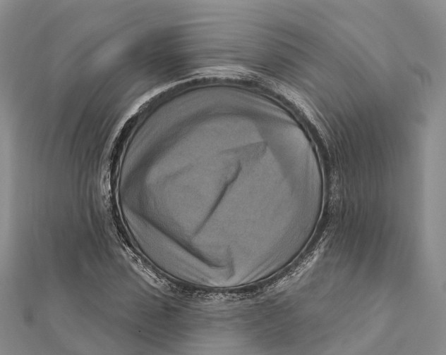X0000112100923200909011121