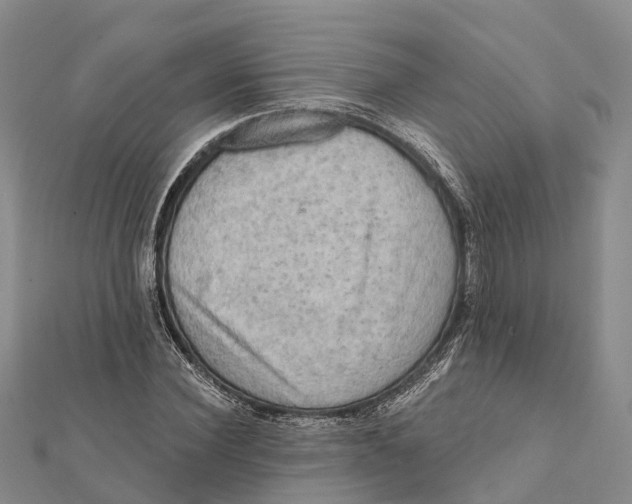 X0000112100924200909011121