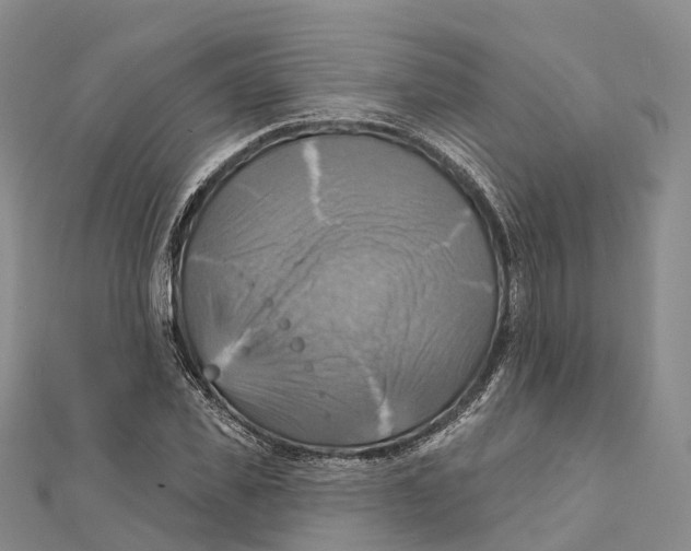 X0000112100925200909011121
