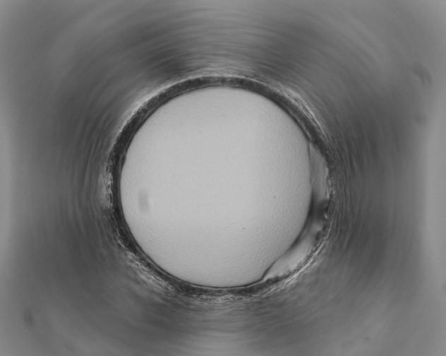 X0000112100926200909011121