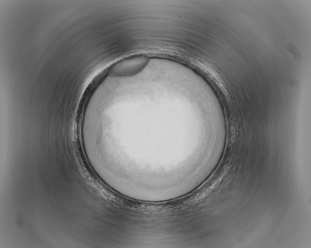 X0000112100928200909011121
