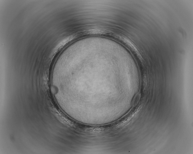 X0000112100930200909011121