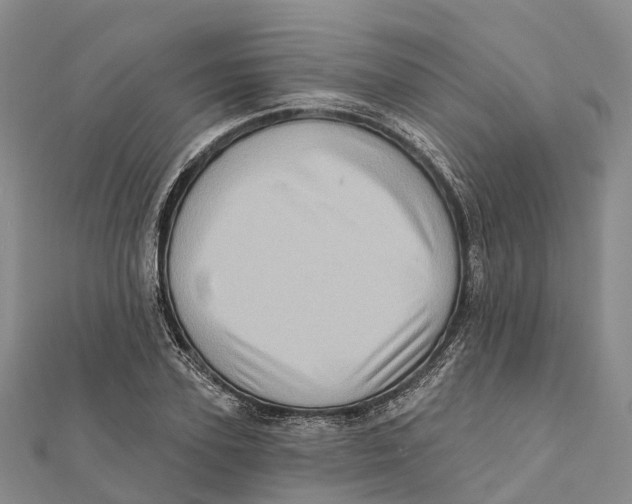 X0000112100931200909011121
