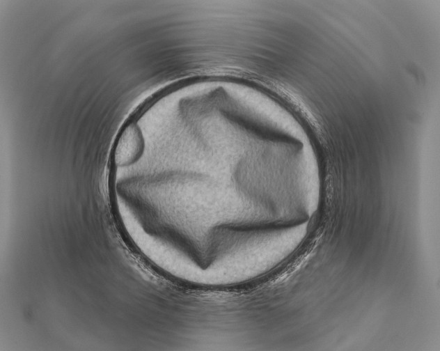 X0000112100932200909011121