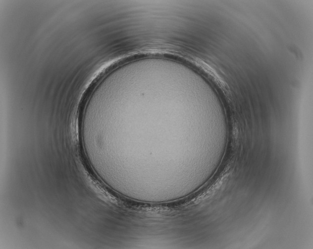 X0000112100934200909011121
