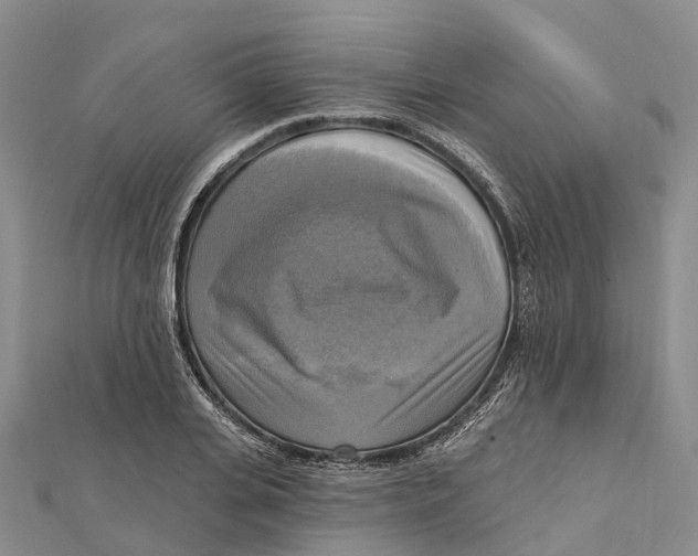 X0000112100935200909011121