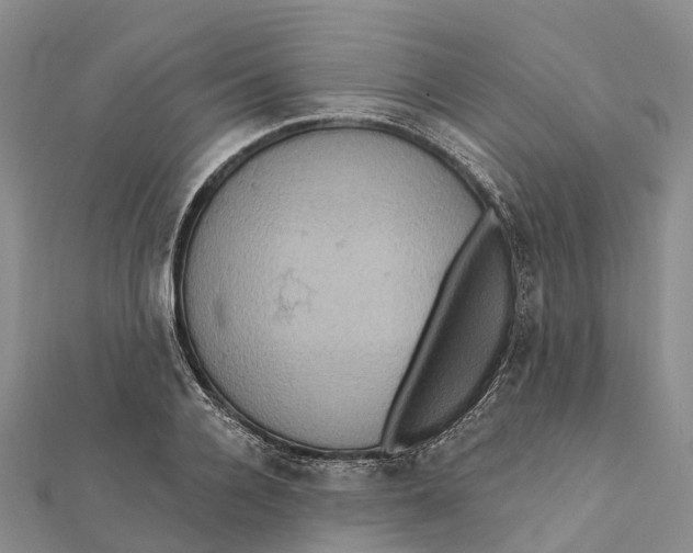 X0000112100936200909011121