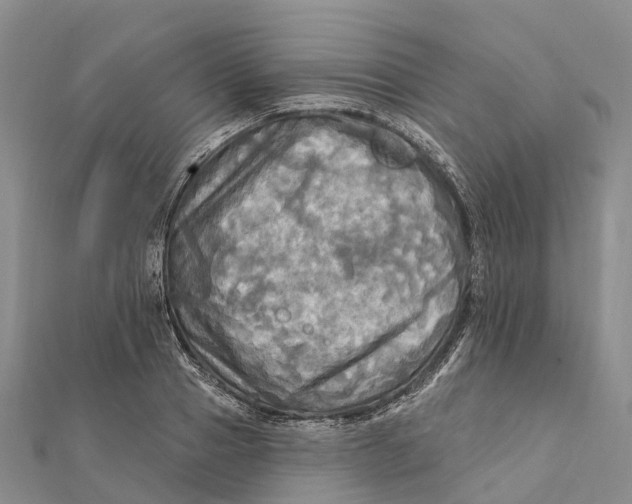 X0000112100937200909011121