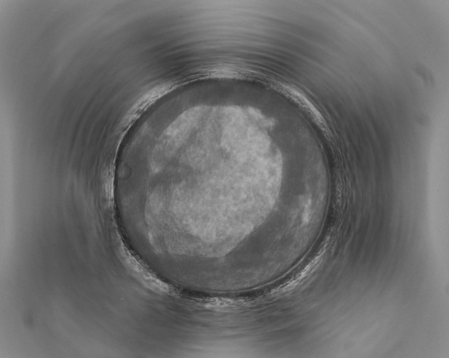 X0000112100938200909011122