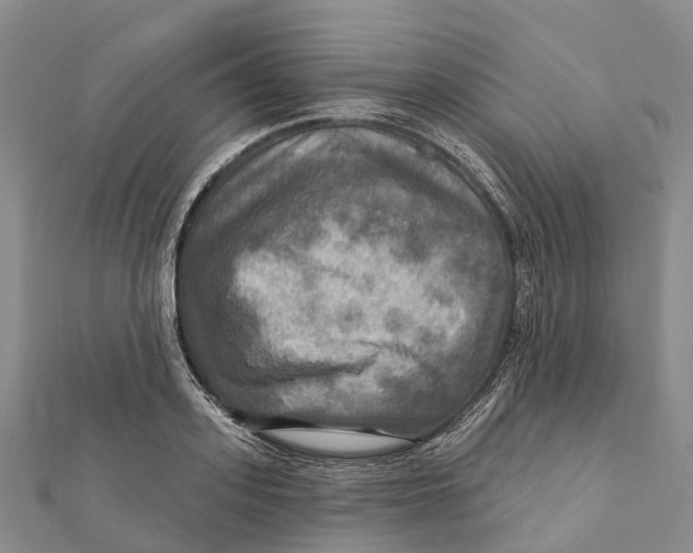 X0000112100939200909011122