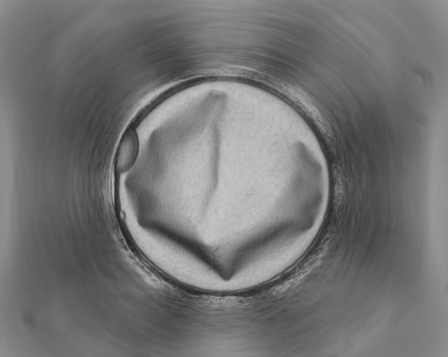 X0000112100940200909011122