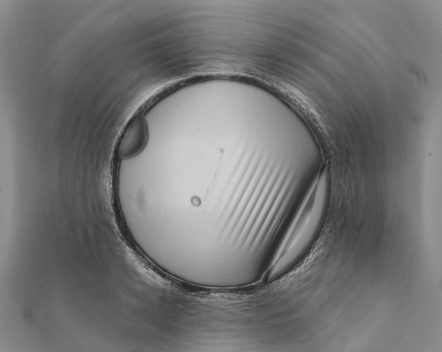 X0000112100942200909011122