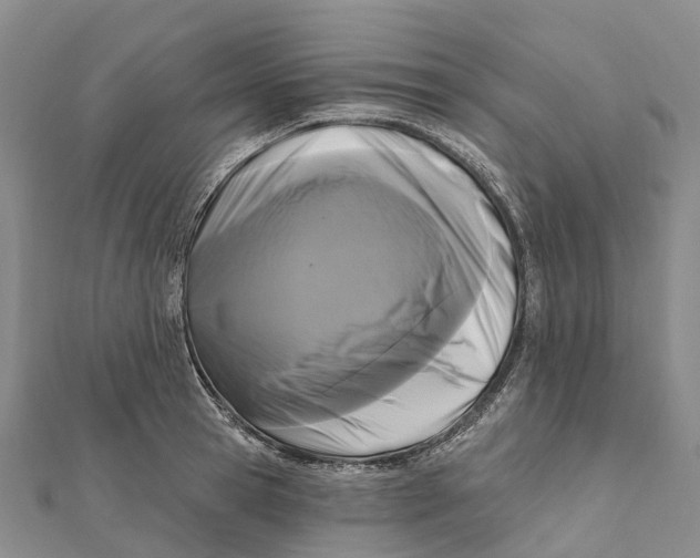 X0000112100945200909011122