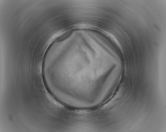 X0000112100946200909011122