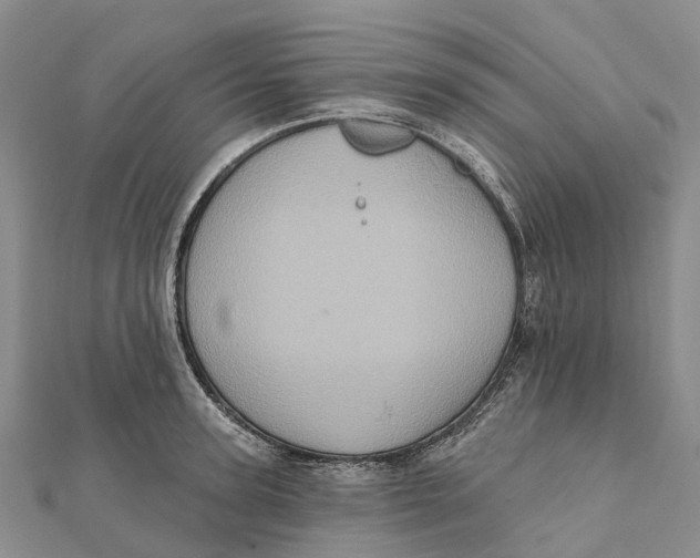 X0000112100947200909011122