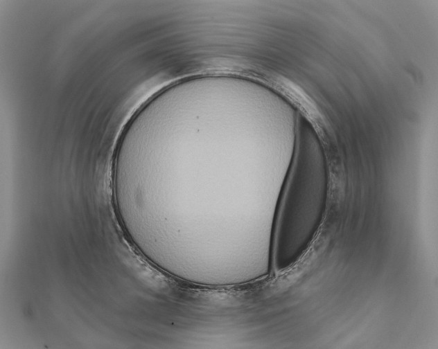 X0000112100948200909011122