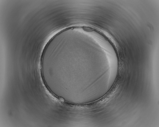 X0000112100951200909011122