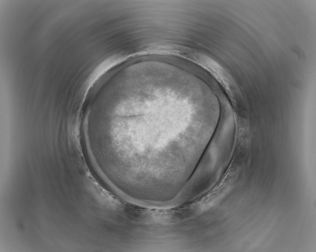 X0000112100952200909011122
