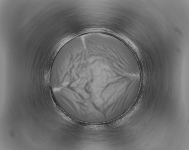 X0000112100953200909011122