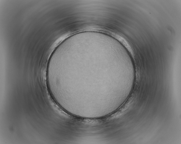 X0000112100954200909011122