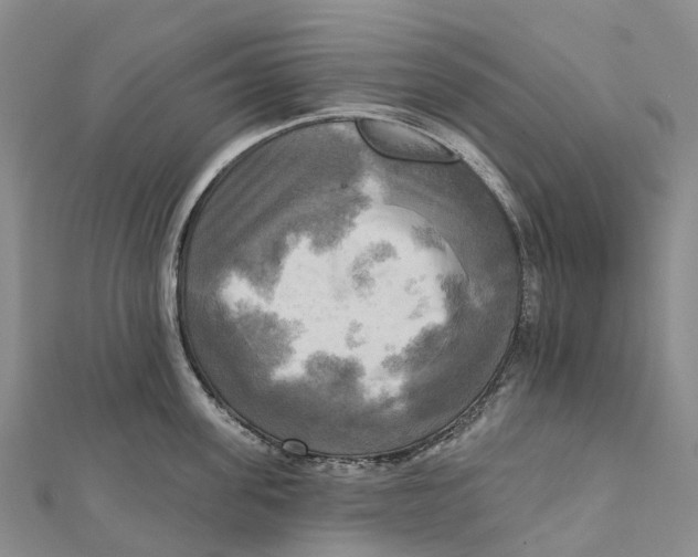 X0000112100955200909011122