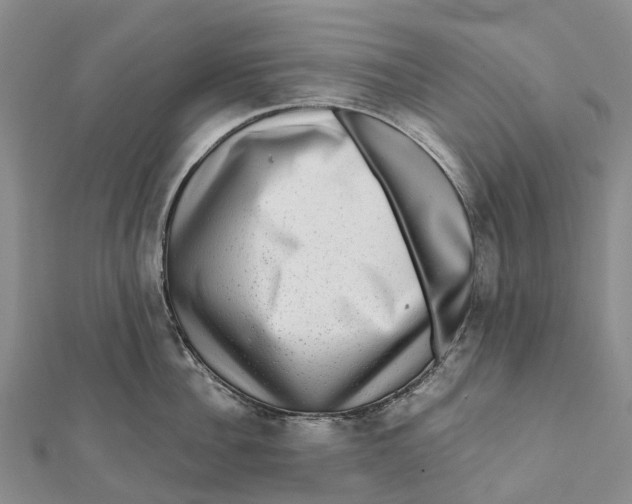 X0000112100956200909011122