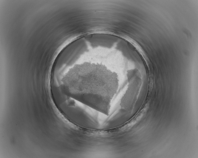 X0000112100957200909011122