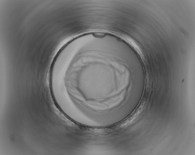 X0000112100958200909011122
