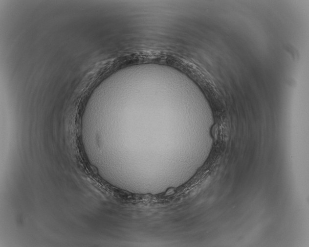 X0000112100961200909011121