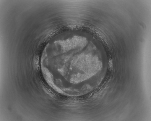 X0000112100963200909011121