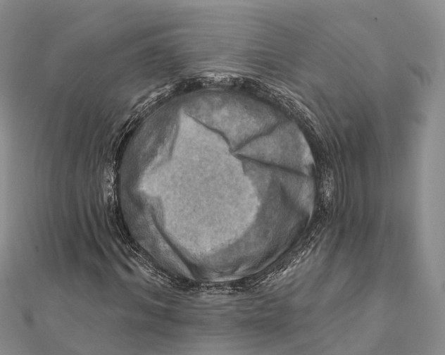 X0000112100964200909011121