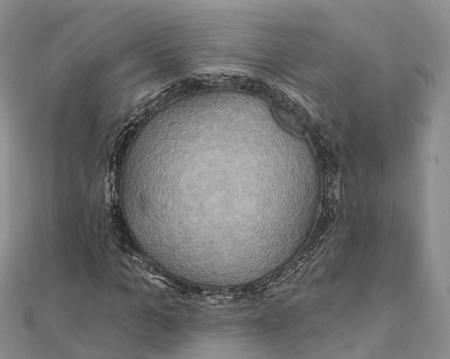 X0000112100965200909011121
