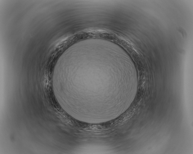 X0000112100966200909011121